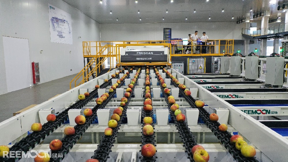 “又一标杆！斯味特&太阳成集团tyc234cc打造全球领先的苹果智能分选工厂